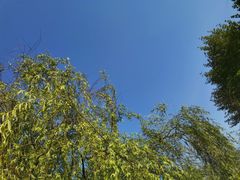 -贵阳市花溪国家城市湿地公园