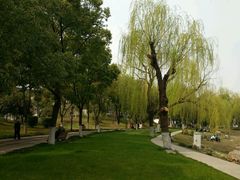 -堤角公园