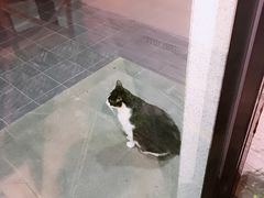 -囿面传统制面馆(中央路店)