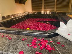 -春晖园度假酒店温泉