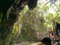 -怀托摩萤火虫洞