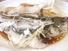 清蒸鲈鱼-砂锅李(九江路店)