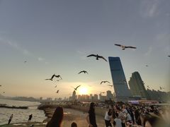 -星海广场