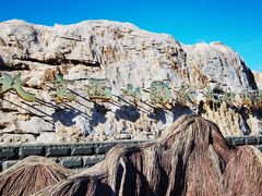 -北京西山国家森林公园