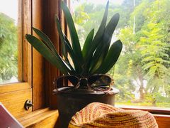 -时光花园(白鹭洲店)