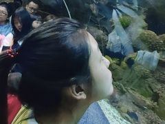 -大连圣亚海洋世界