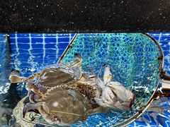 -碧海银沙海鲜餐厅(恒大海上威尼斯店)