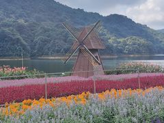 -广州市石门国家森林公园