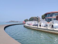 -水上明月·湖景餐厅