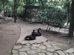 -柳州市动物园