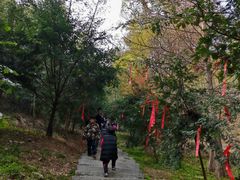 -东明山森林公园