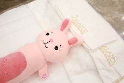 -加减美医美连锁品牌