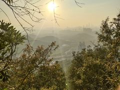 -梧桐山风景名胜区