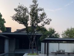 -木守西溪溪隐餐厅