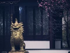 -八大山人梅湖景区