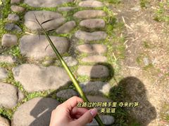 -茅家埠