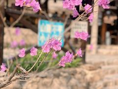 -北京水岸山吧度假村(雁栖镇店)