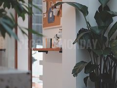 -Line 咖啡(石厦花园店)