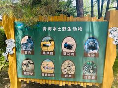 -青藏高原野生动物园