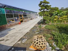 -大笑饭堂(甲子桥店)