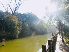 -上海怡沁园度假酒店