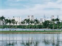 -南宁南湖公园