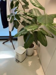 -上海时光整形外科医院