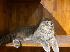 -VIKING SALOON西部美式烟熏烤肉(和平路店)