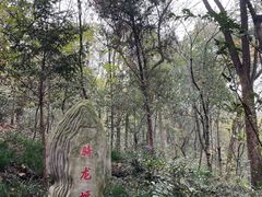 -上海佘山国家森林公园天马山园