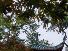 -岳麓山风景名胜区