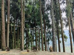 -太阳湾风景区