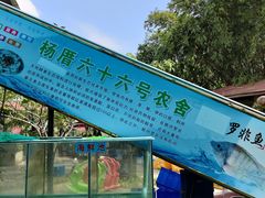 -杨厝六十六农庄农舍(杨厝路店)