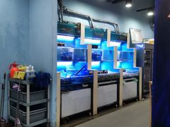 水产区-老虎滩大连海鲜烧烤(建邺云锦路总店)