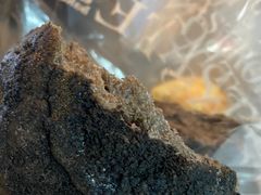 -mira甜品屋(财大店)