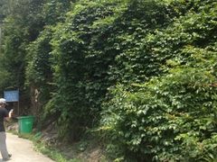 -众神白水涧景区