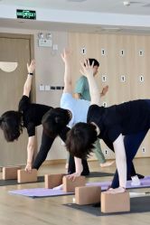 -酉嘉瑜伽YO+YOGA