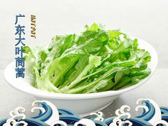 广东大叶茼蒿-江海肥牛(桃园南路店)