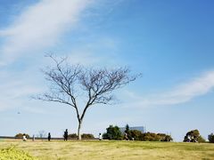 -白塘生态植物园