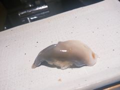 -镹·鱼料理  国产鱼使用店