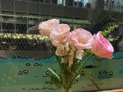 -WOKKA by艮上(中海环宇荟店)