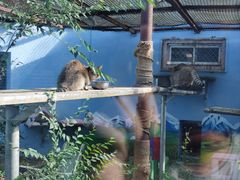 -青藏高原野生动物园