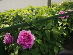 -廊坊市自然公园
