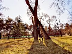 -晋祠公园