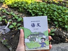 -小绍兴家宴·百年绍兴菜(鲁迅路店)