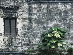 -观桥阁(锦溪店)