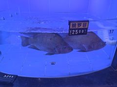 -四海之家(蛇口店)