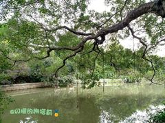 -小洲村