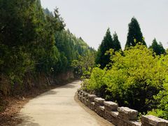 -府君山公园