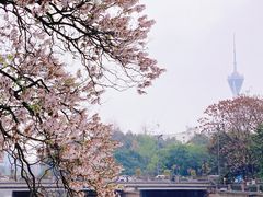 -红星桥(地铁站)