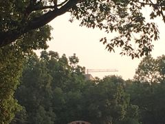 -杭州半山国家森林公园